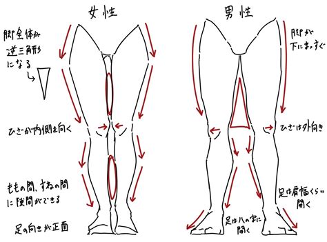 エッチ な 女の子|女性の下半身を魅力的に描こう「下半身」は女性らしさを表現す .